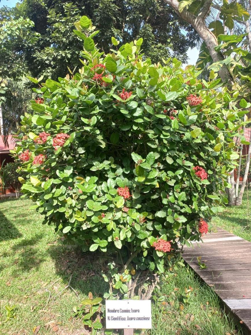 Manish Hotel Ecologico Pucallpa Exteriör bild